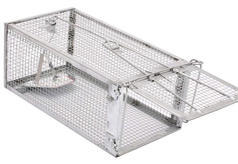 Kensizer Small Animal Cage Trap